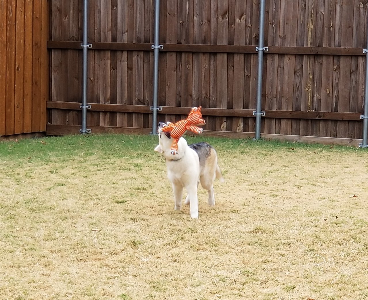 20171108_123815.jpg