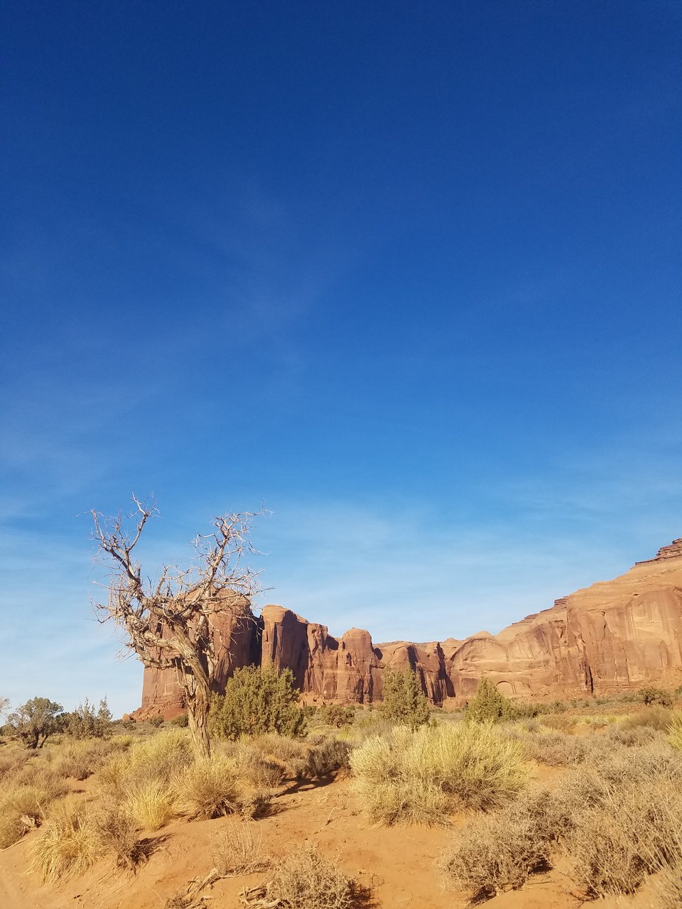 20171108_145736.jpg