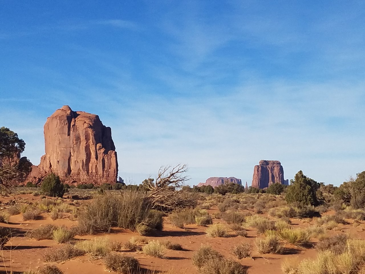 20171108_150147.jpg