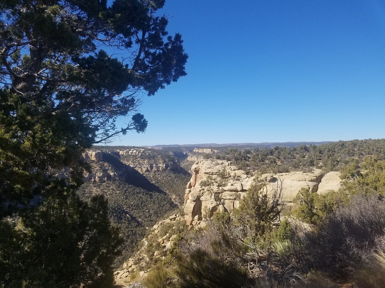 20171109_131412.jpg
