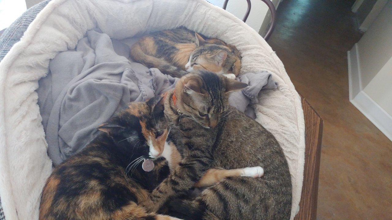 20171109_132102.jpg