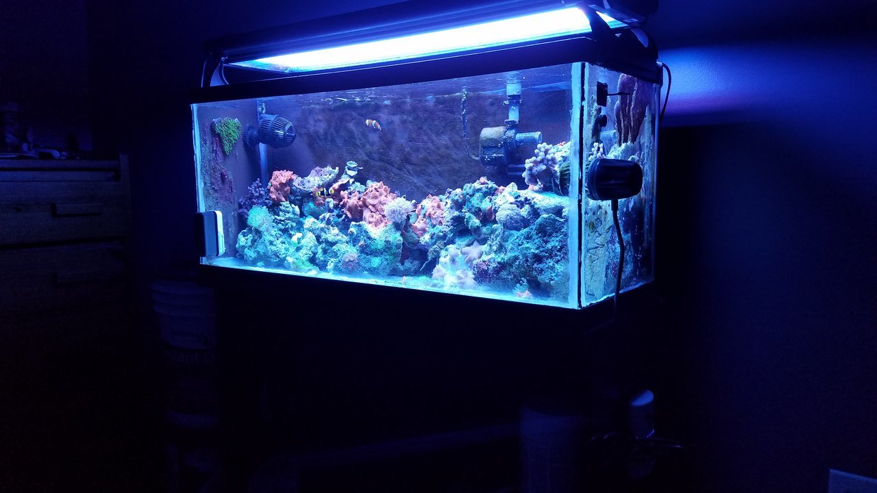 20171109_202313.jpg