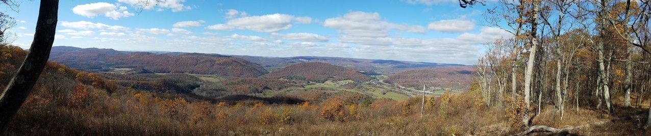 20171110_115424.jpg