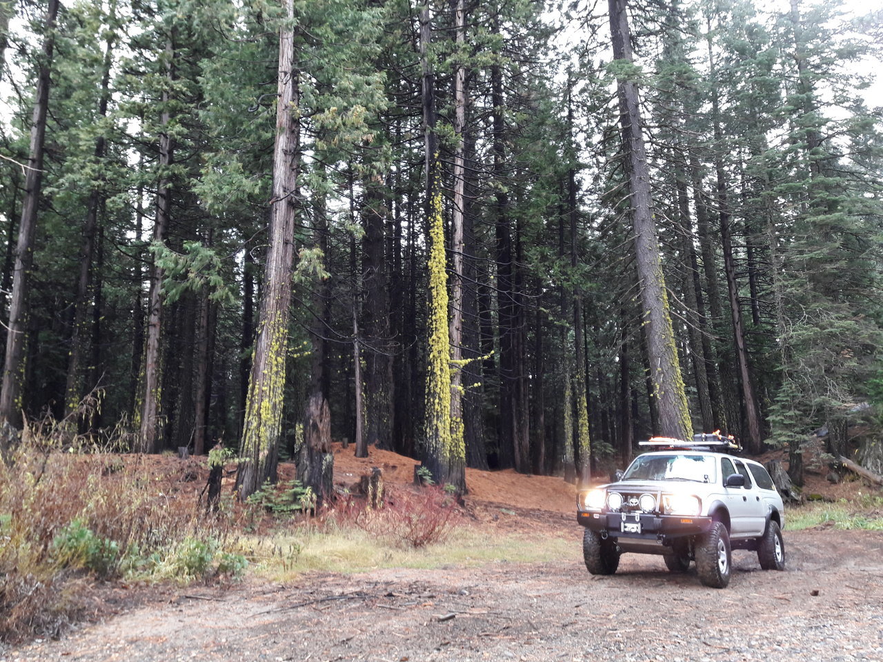 20171110_143814.jpg