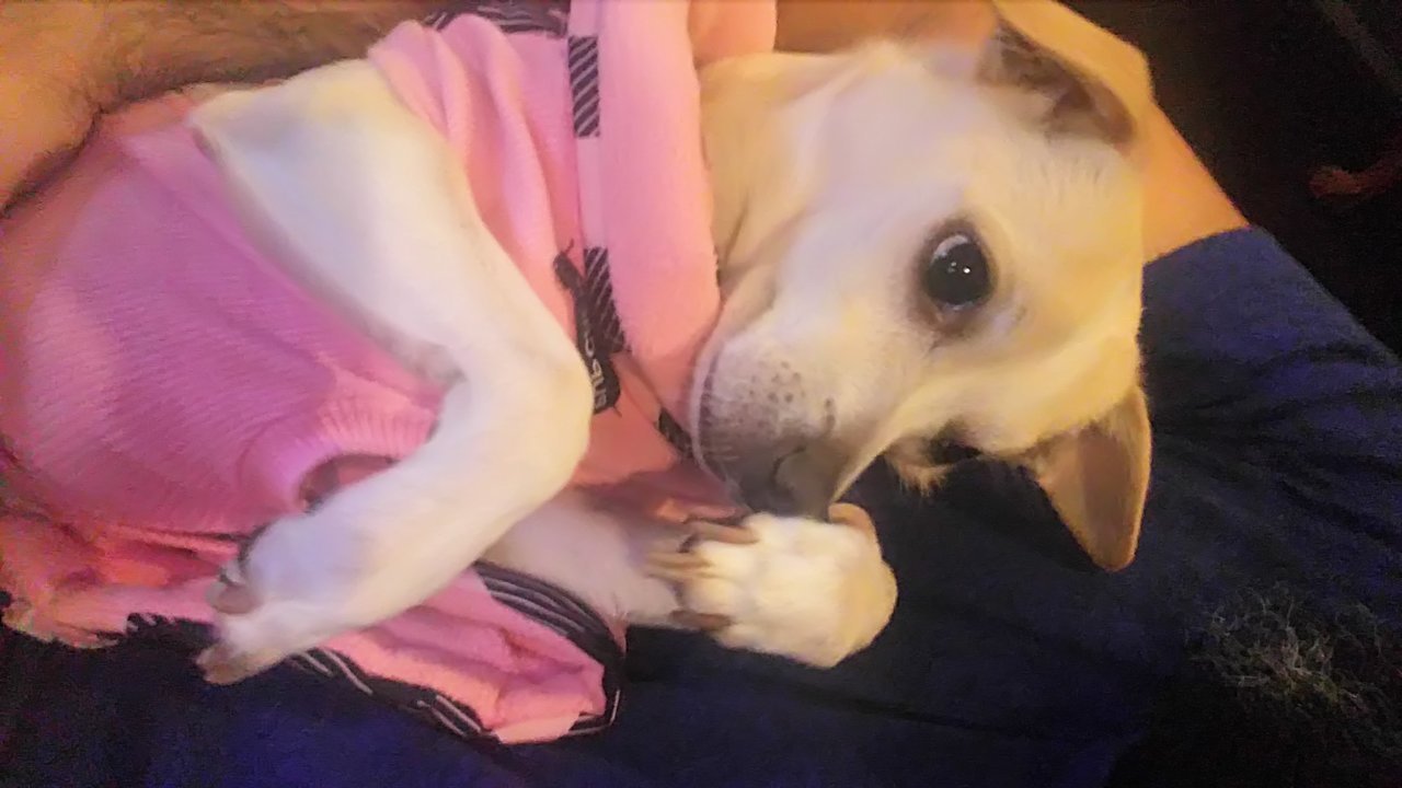 20171110_185039.jpg