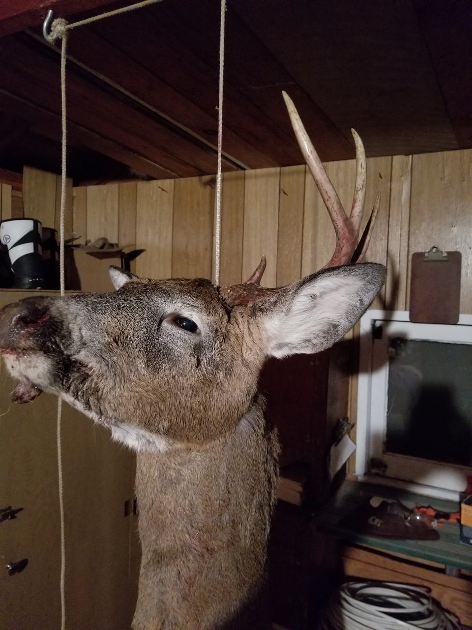 20171110_185926.jpg