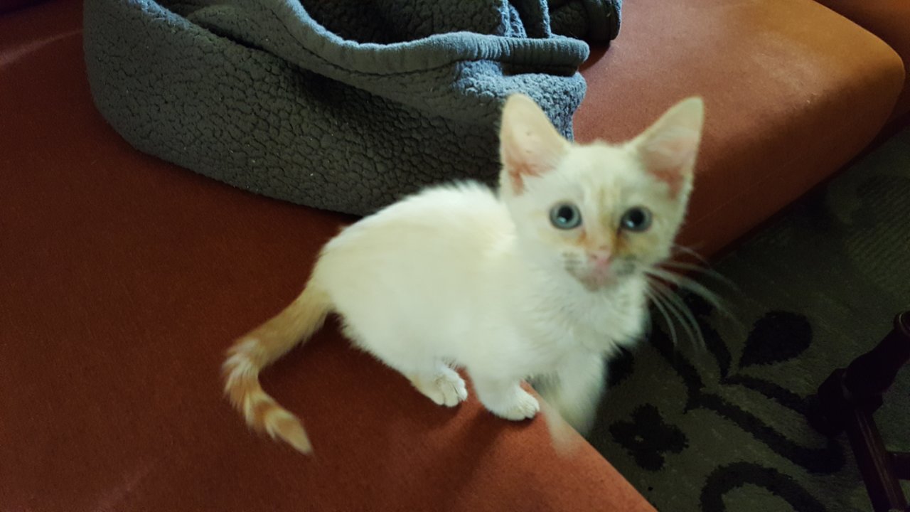 20171111_084211.jpg