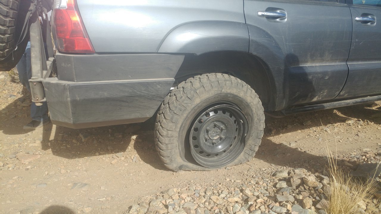 20171111_130814.jpg