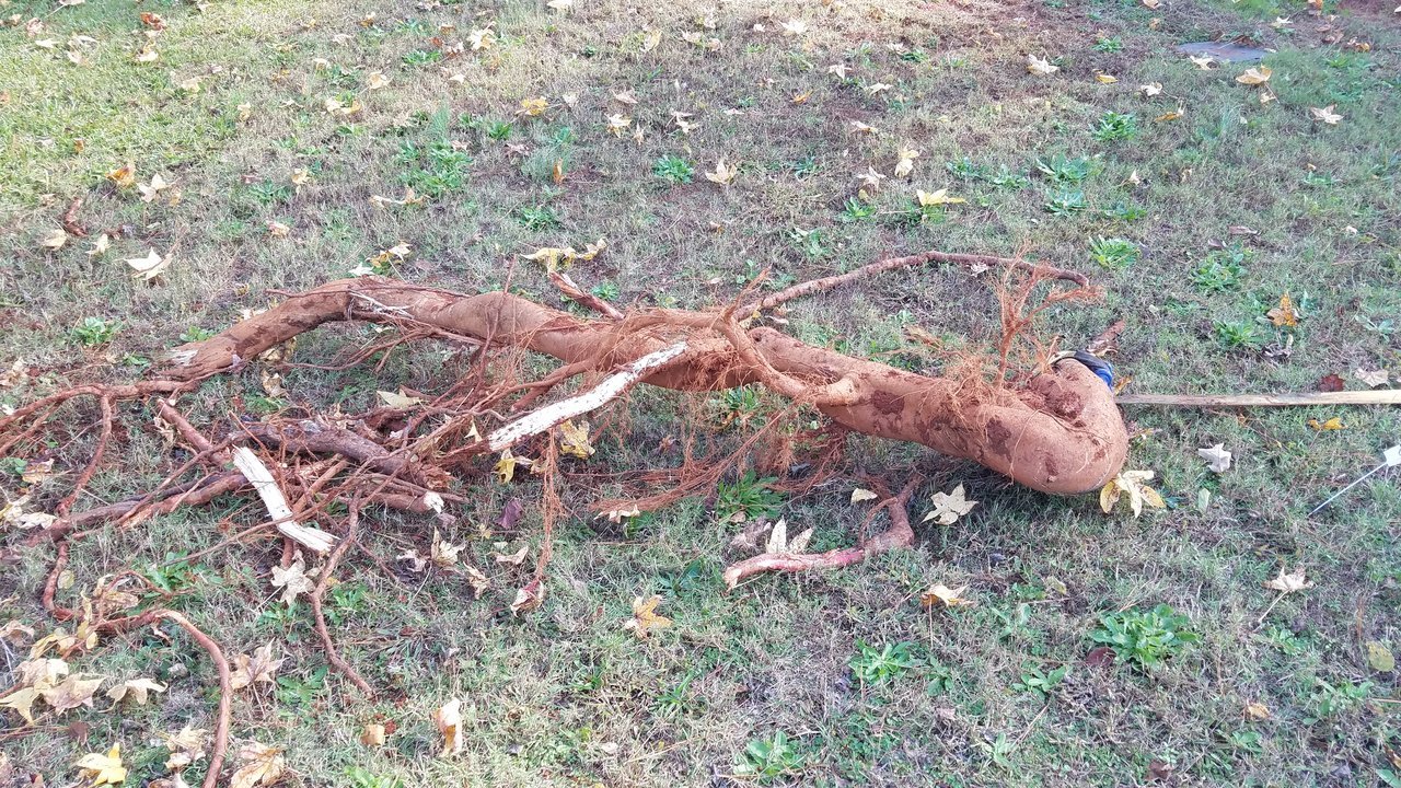 20171111_134447.jpg