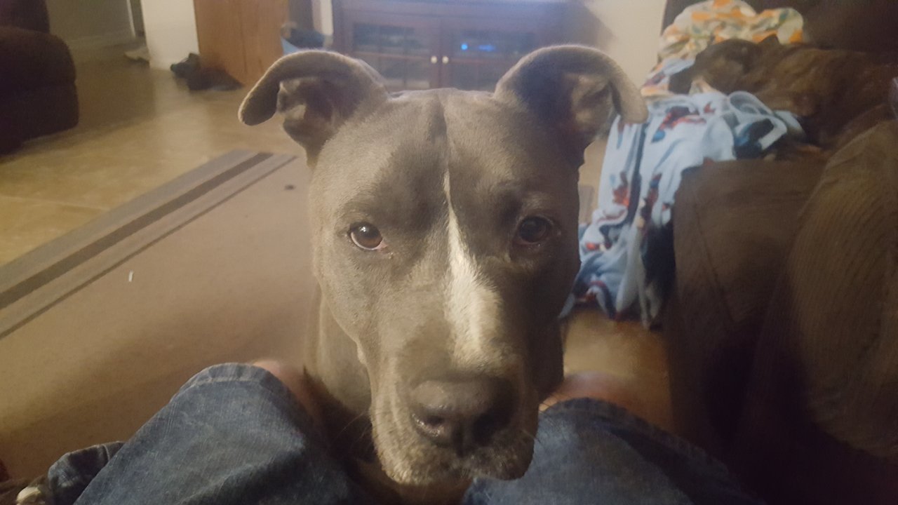 20171111_184430.jpg