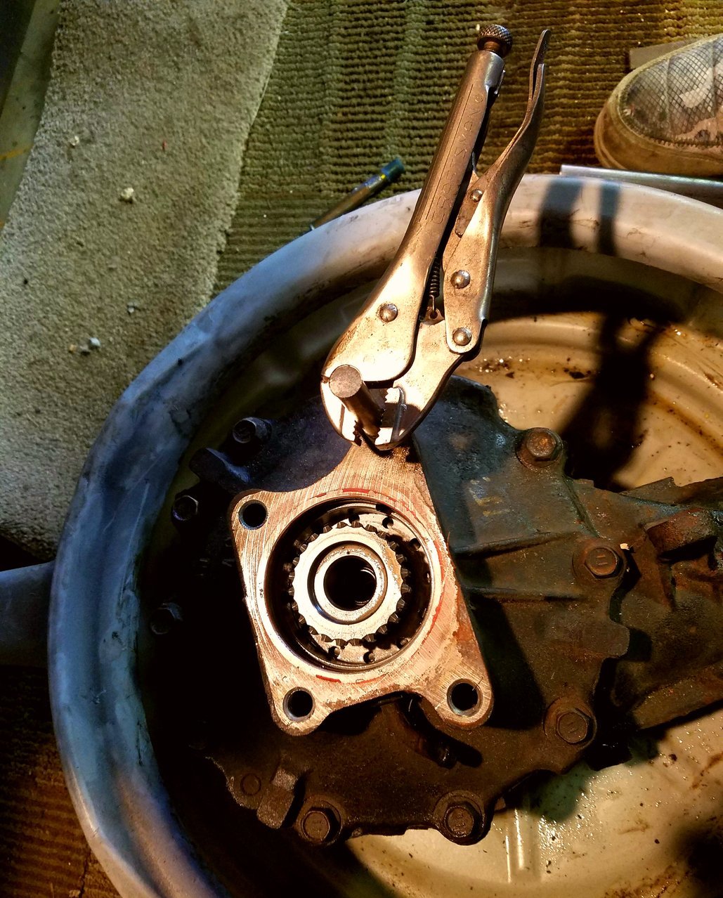 20171116_082504.jpg