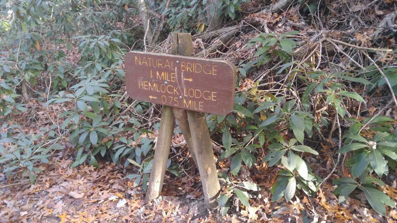 20171117_141145.jpg