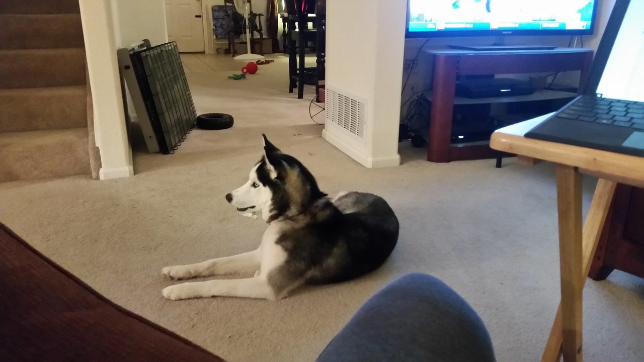 20171117_211450.jpg