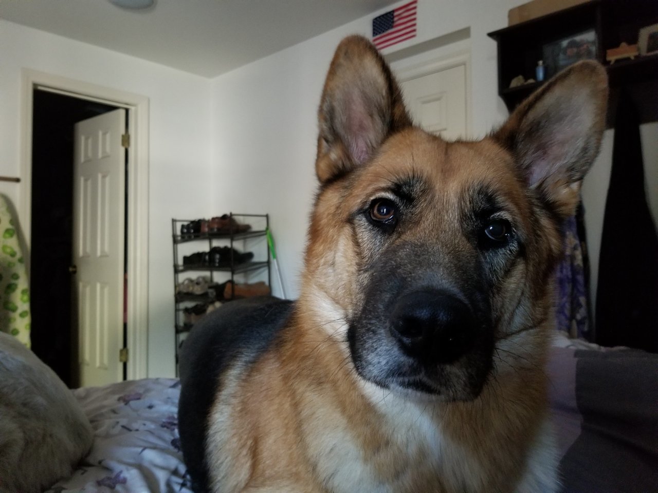 20171118_082033.jpg