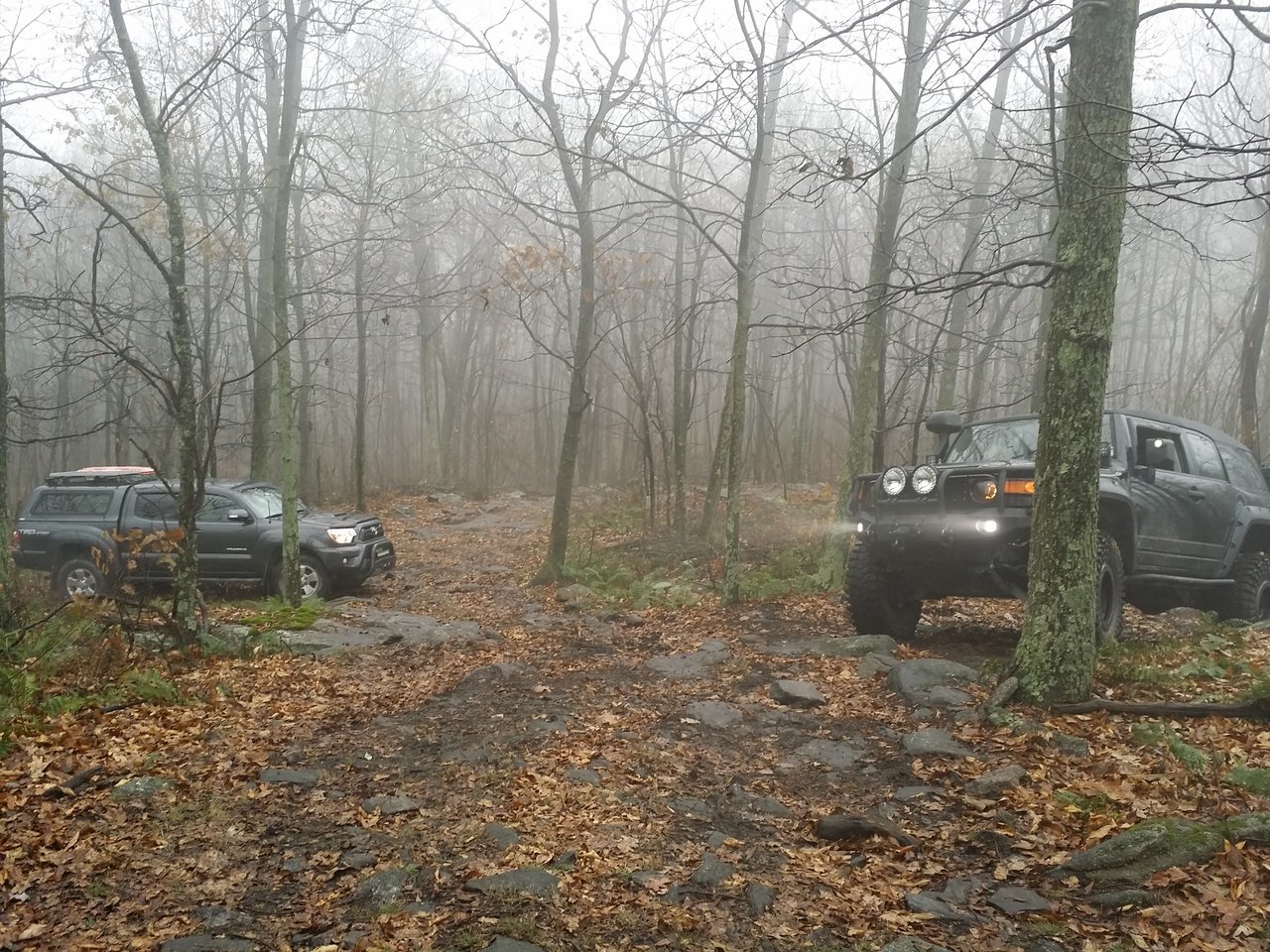 20171118_130708.jpg