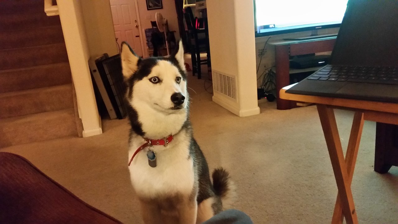 20171118_193705.jpg