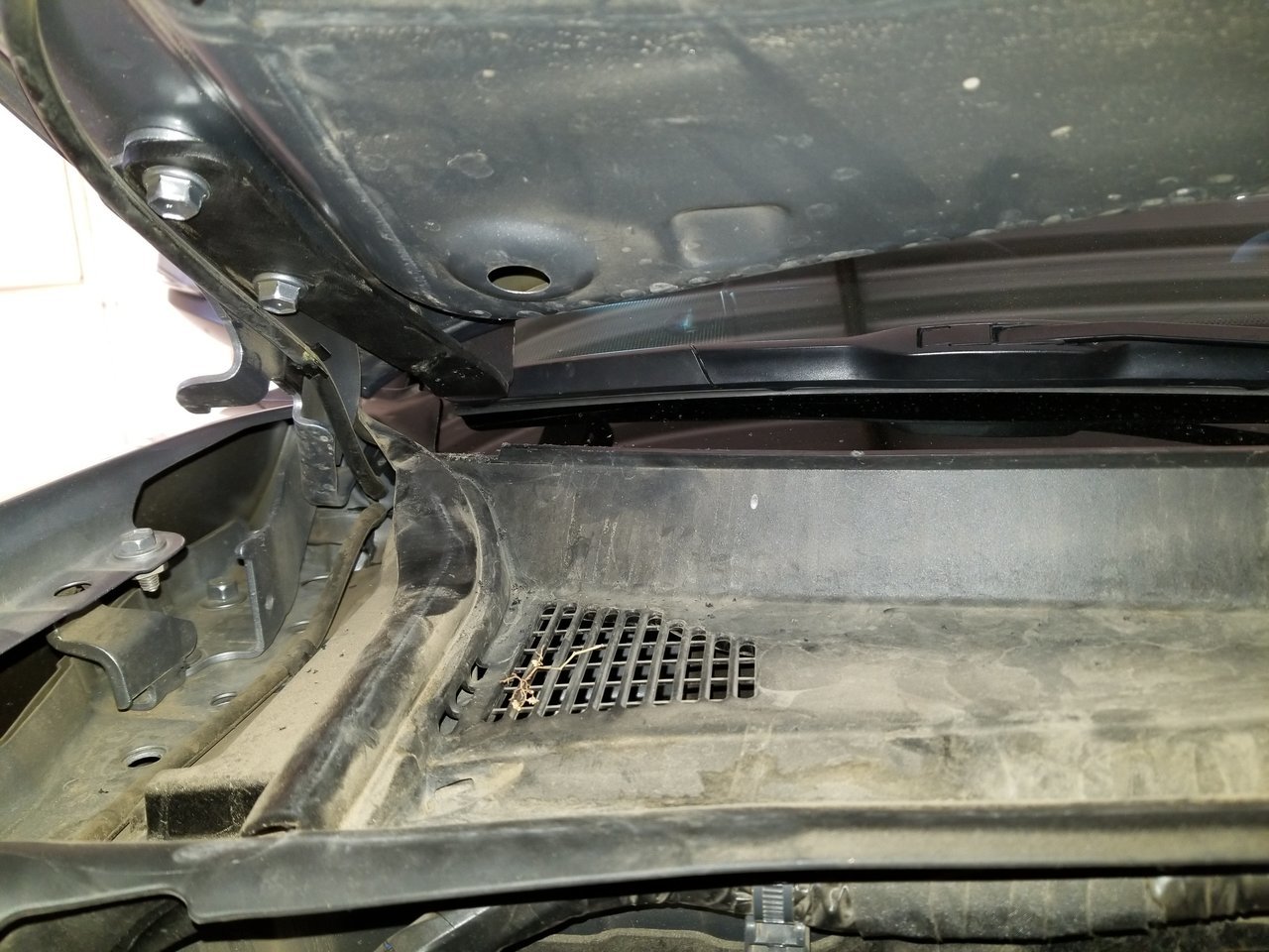 20171119_100145.jpg