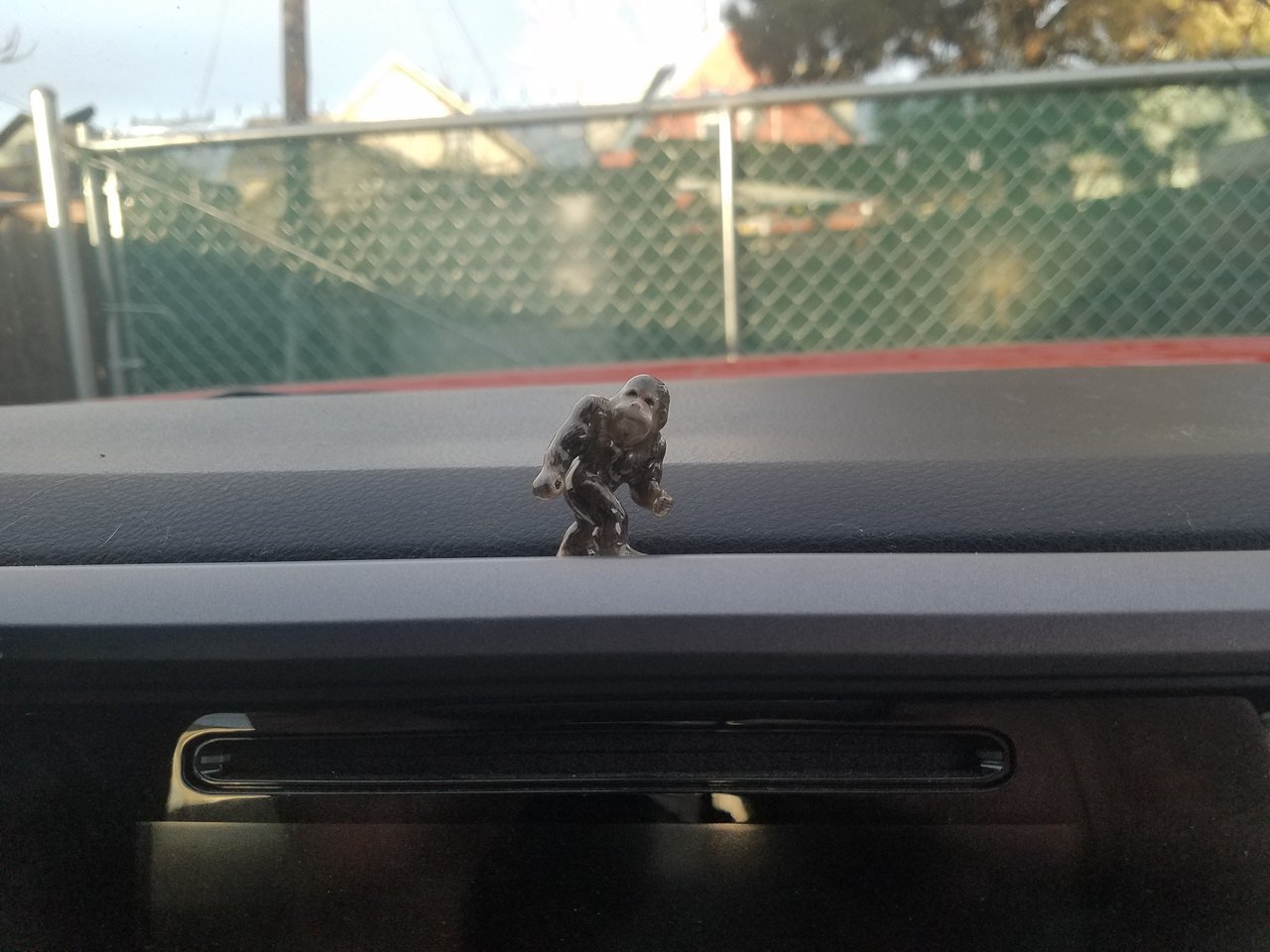 20171119_160455.jpg
