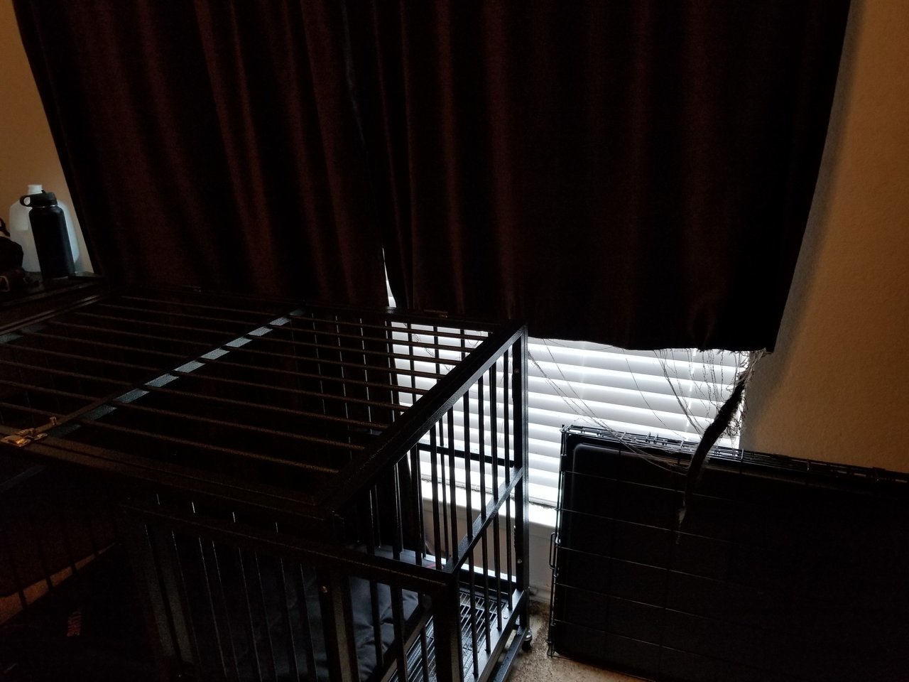 20171121_123531.jpg