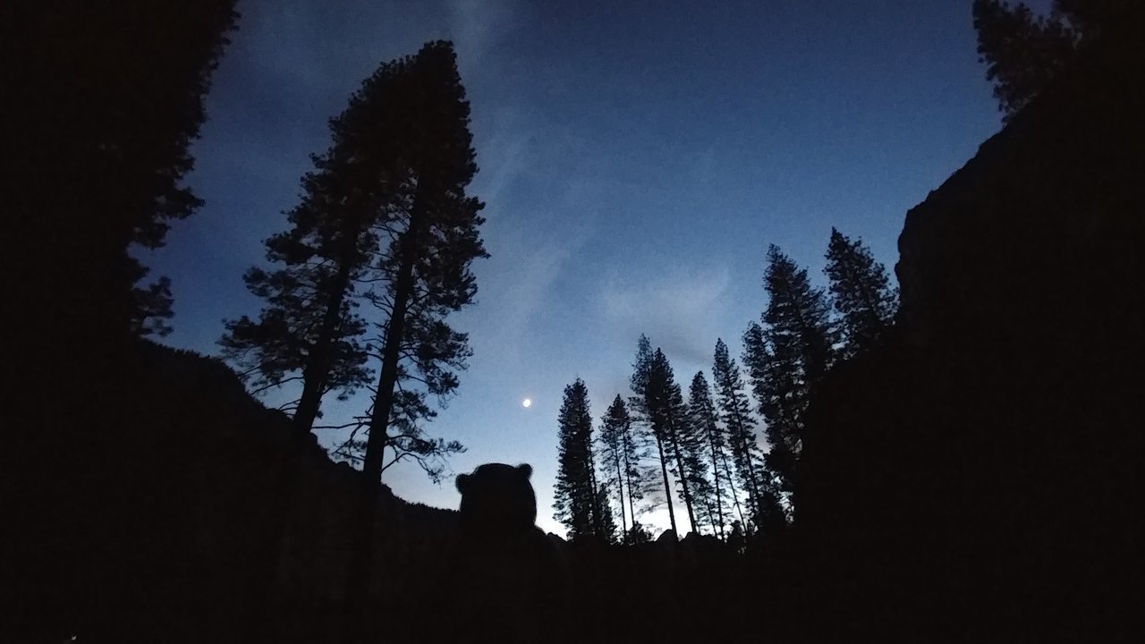 20171122_171829.jpg