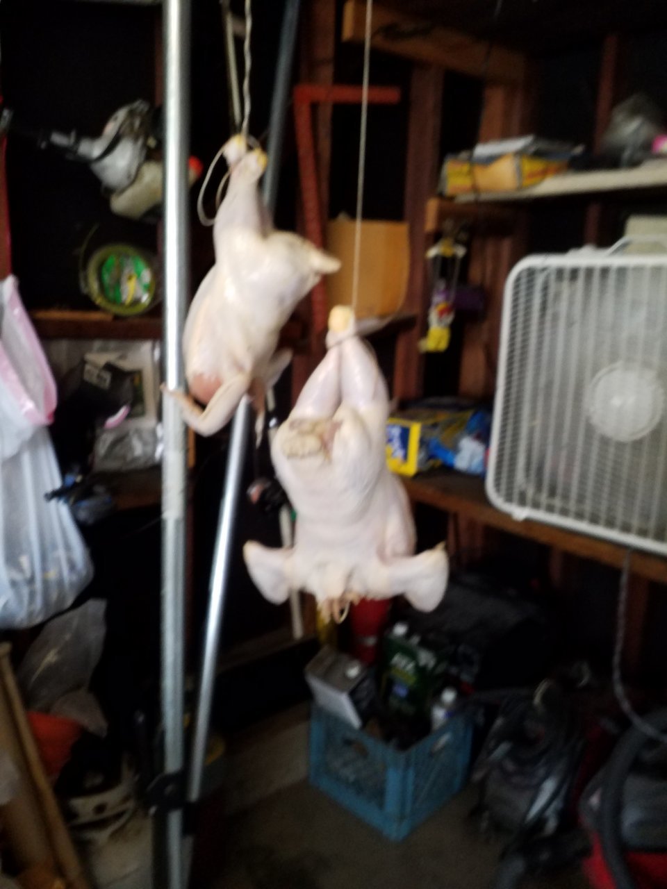 20171123_085538.jpg