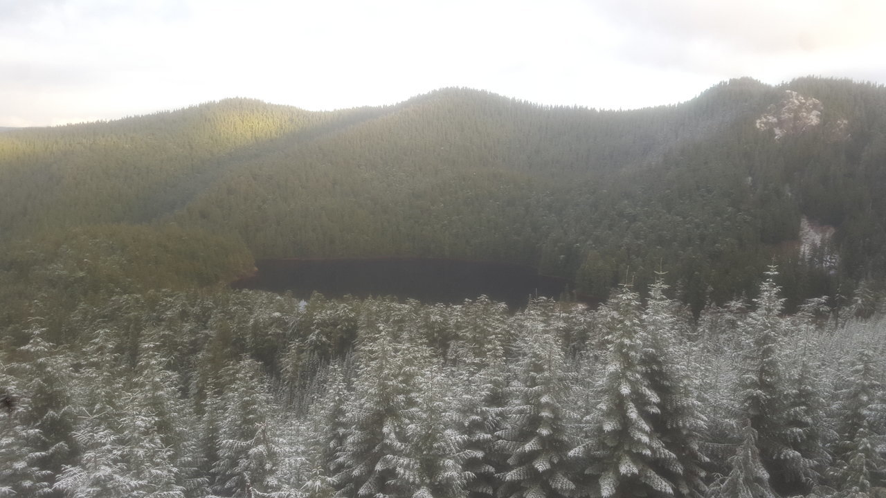 20171124_153126.jpg
