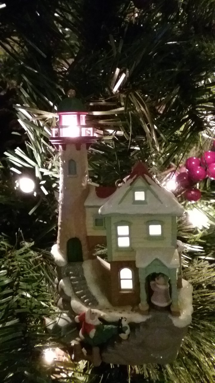 20171125_174614.jpg