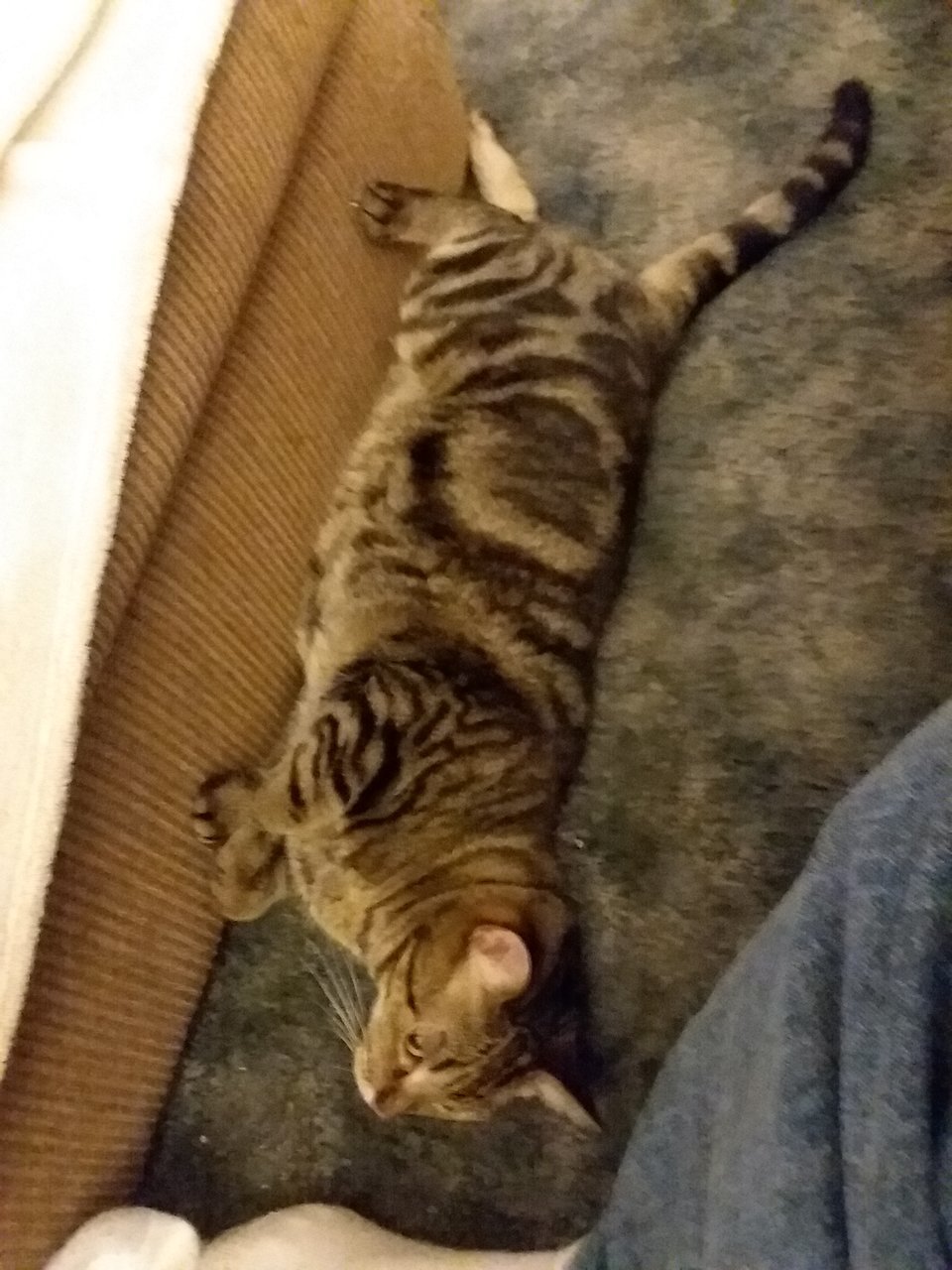 20171125_184305.jpg