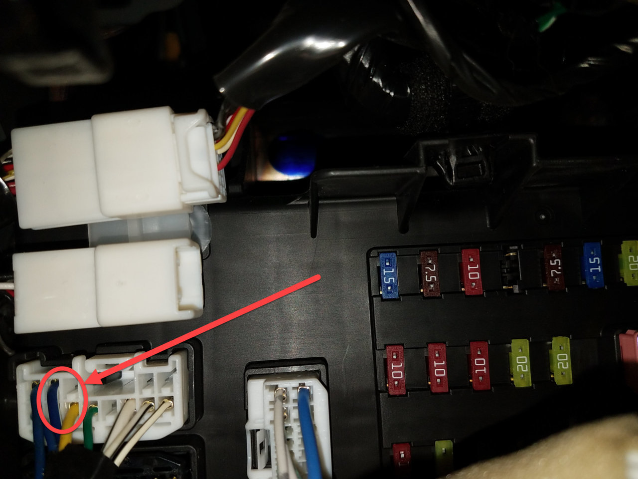 20171125_2012 harness_Marked.jpg