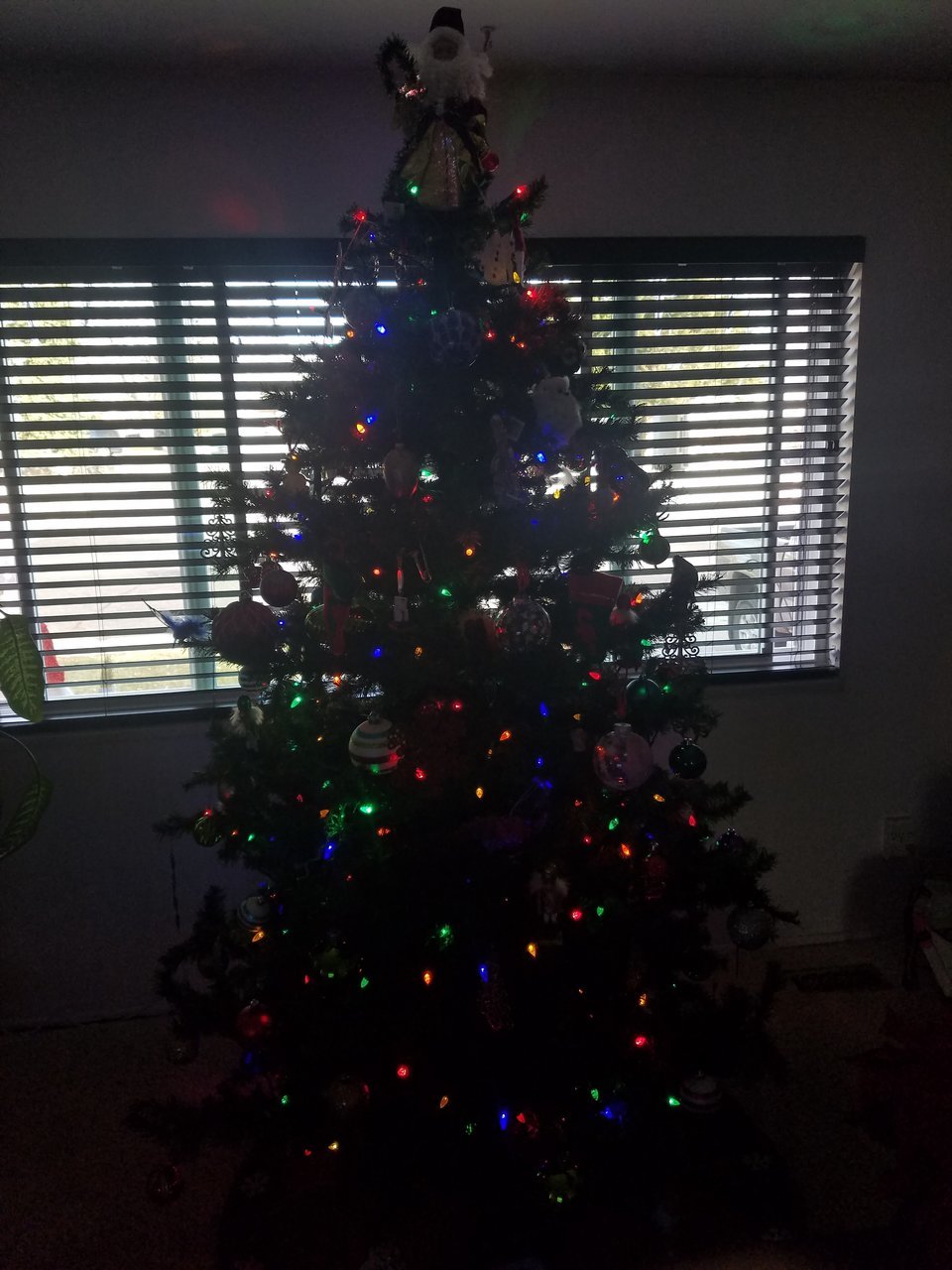 20171126_082753.jpg