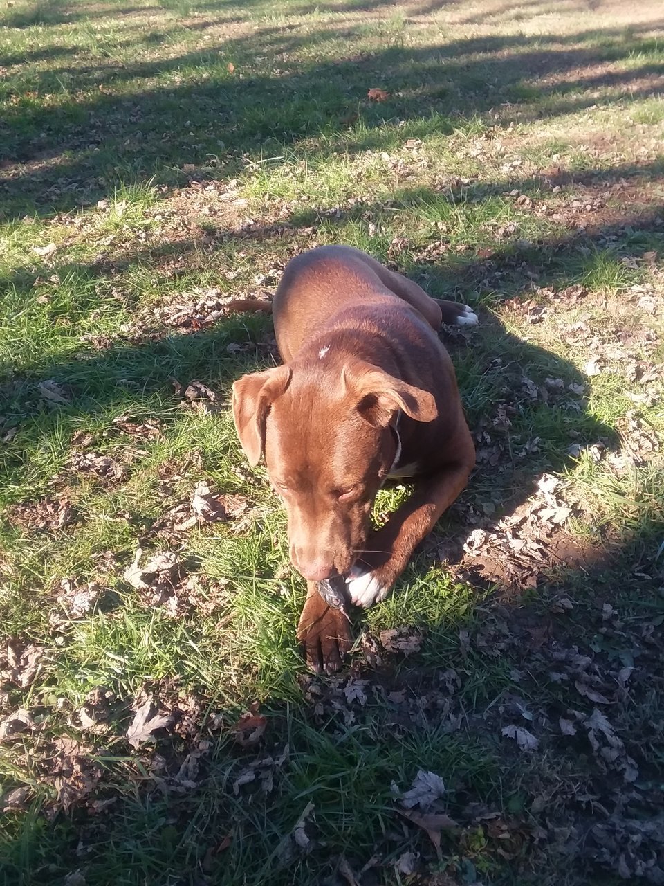 20171126_133422.jpg
