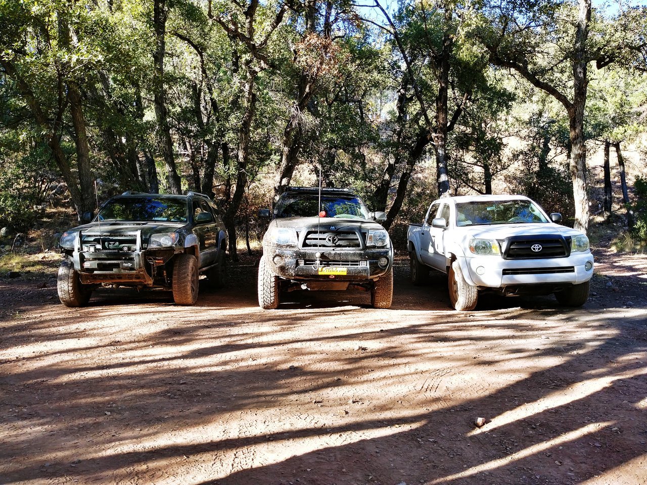 20171126_151208_HDR.jpg