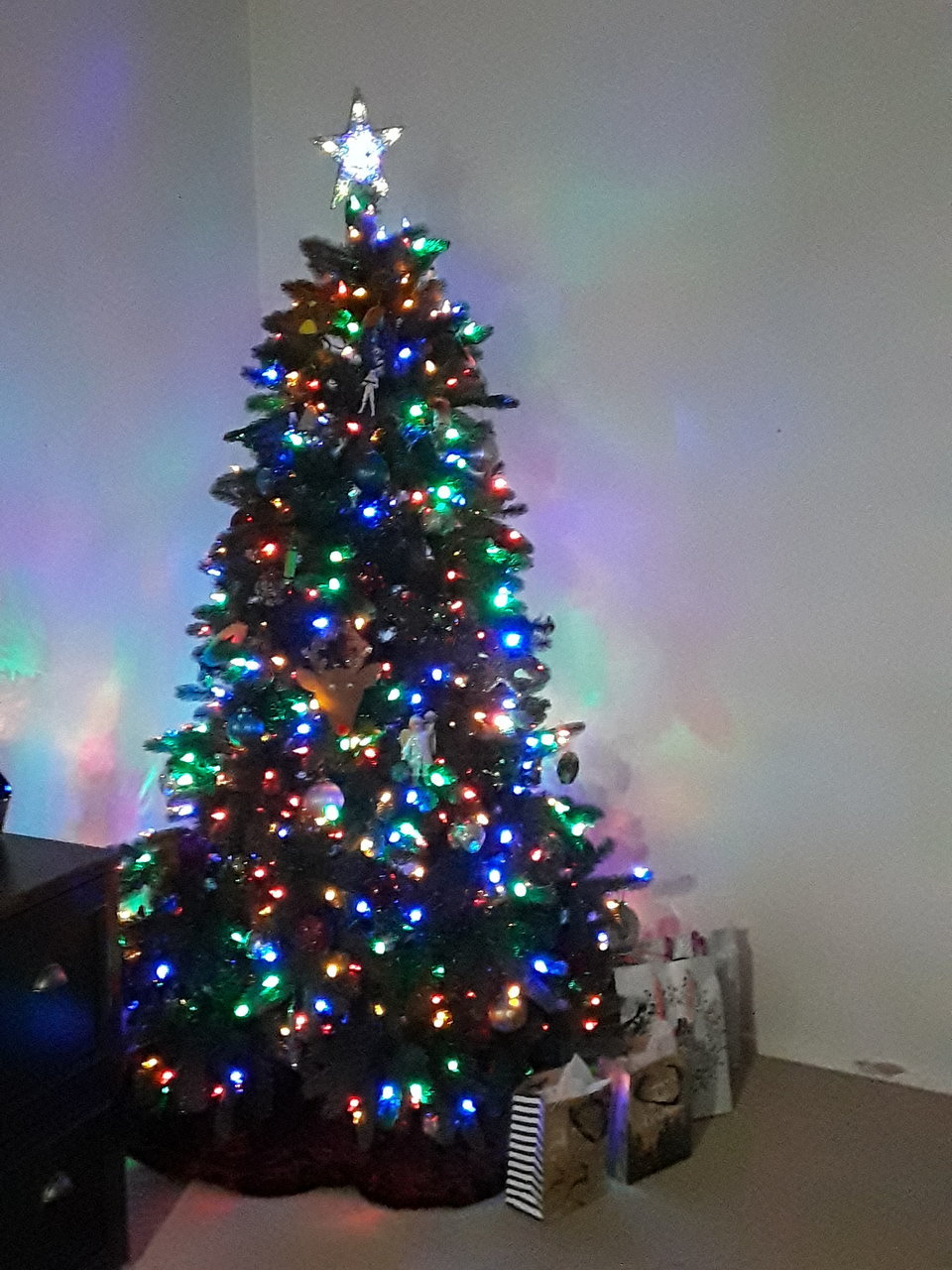 20171126_183729.jpg