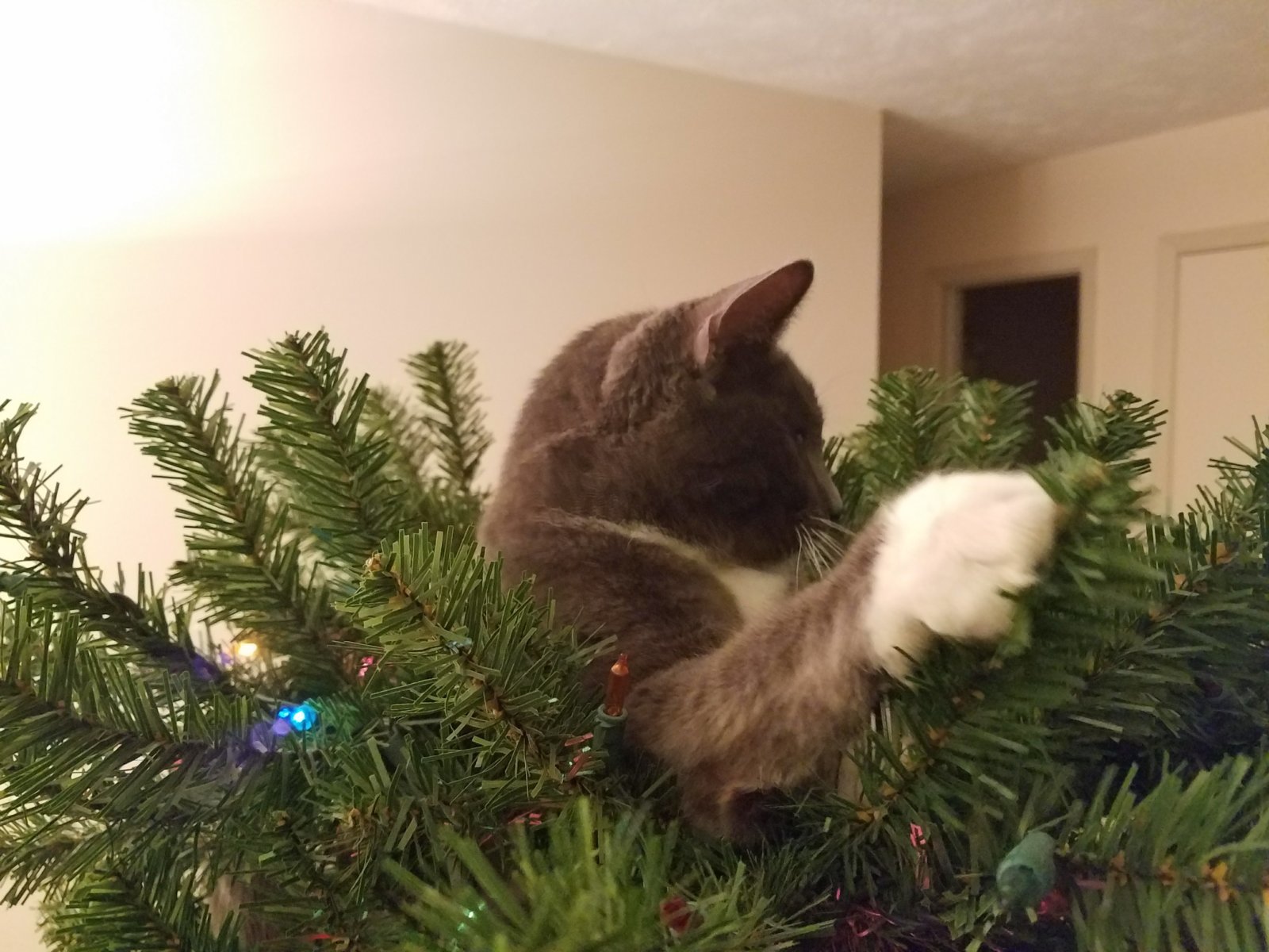 20171126_210212.jpg