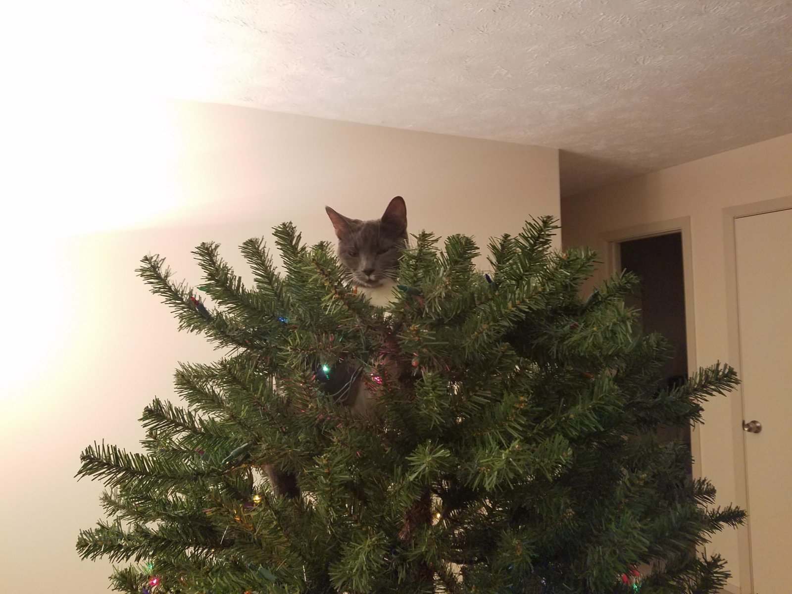 20171126_210225.jpg