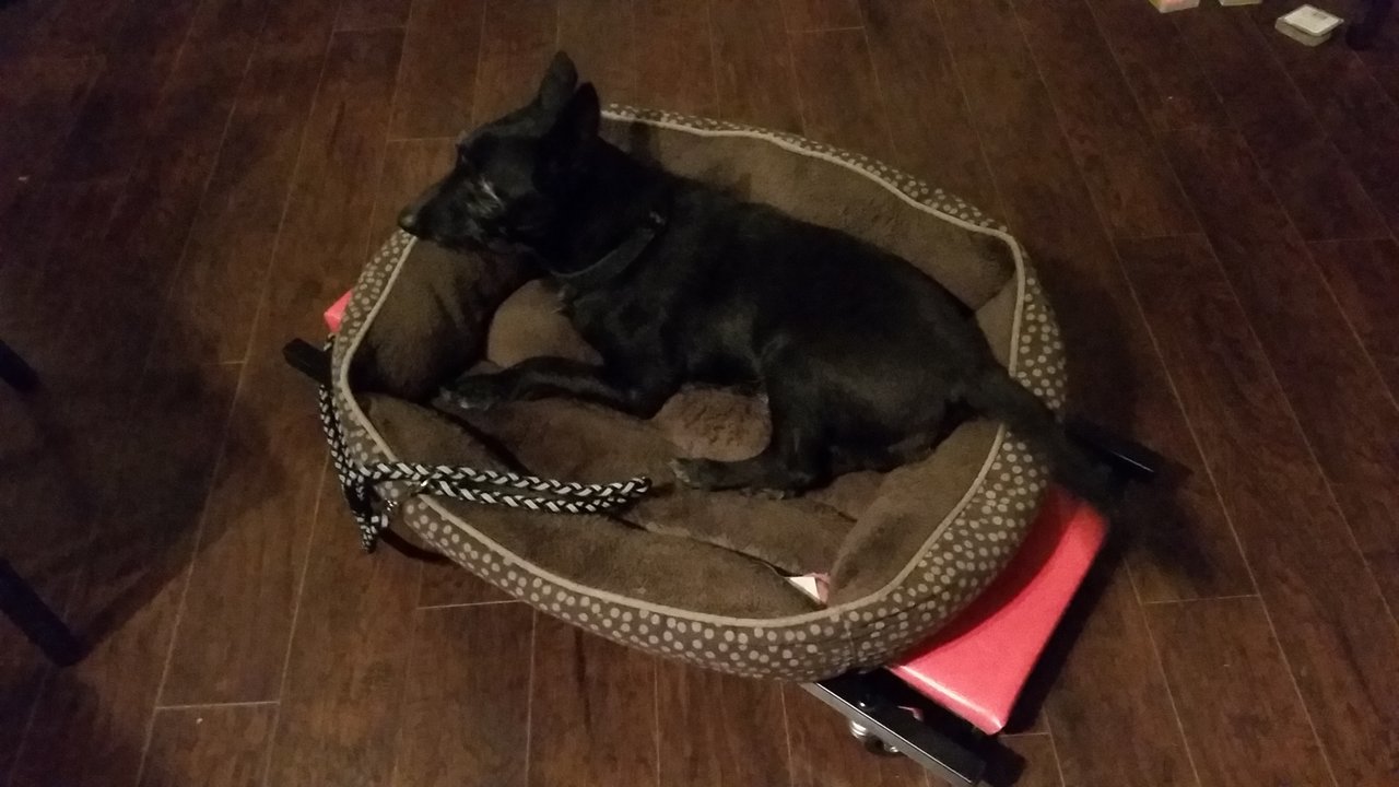 20171127_193513.jpg