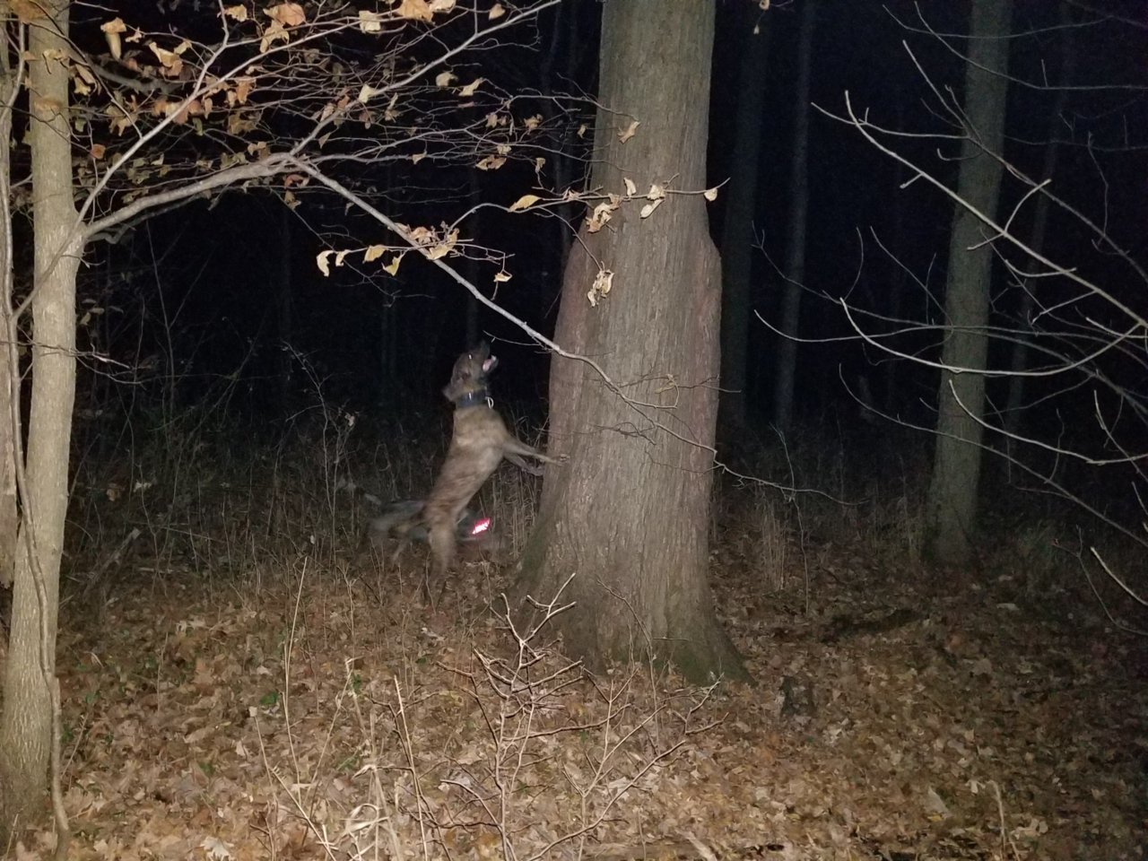 20171128_211522.jpg