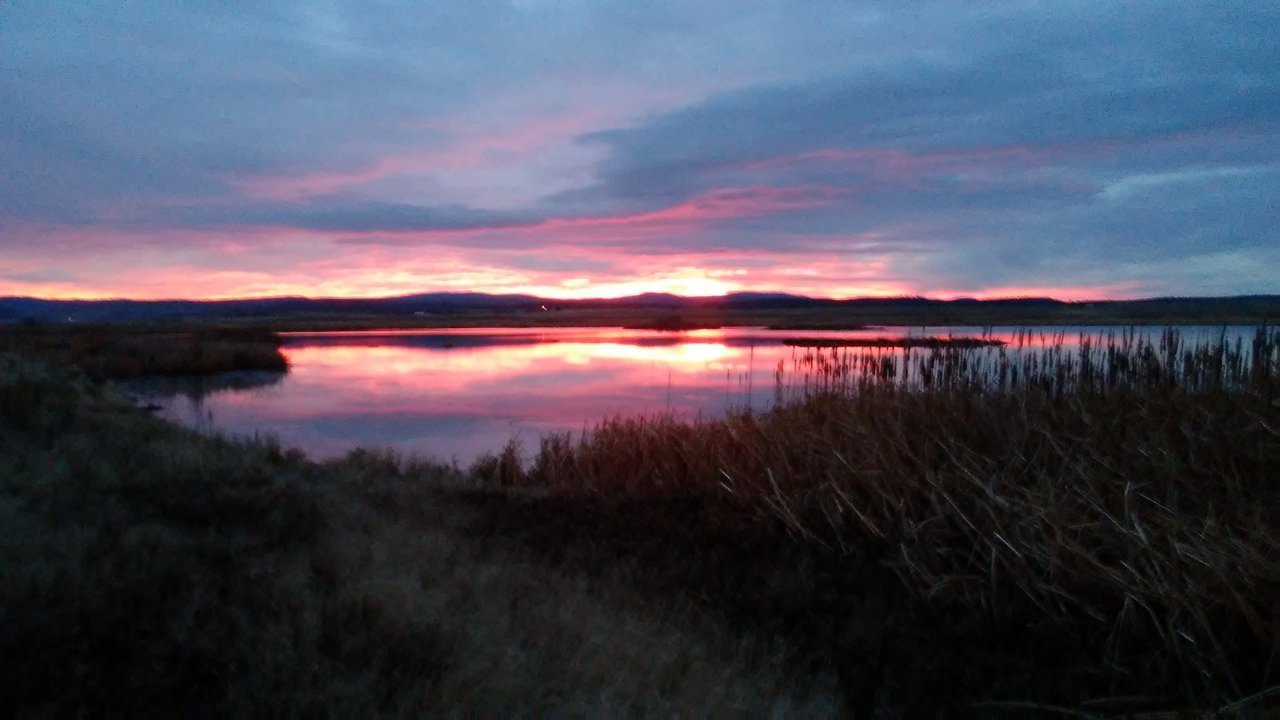 20171130_164729.jpg