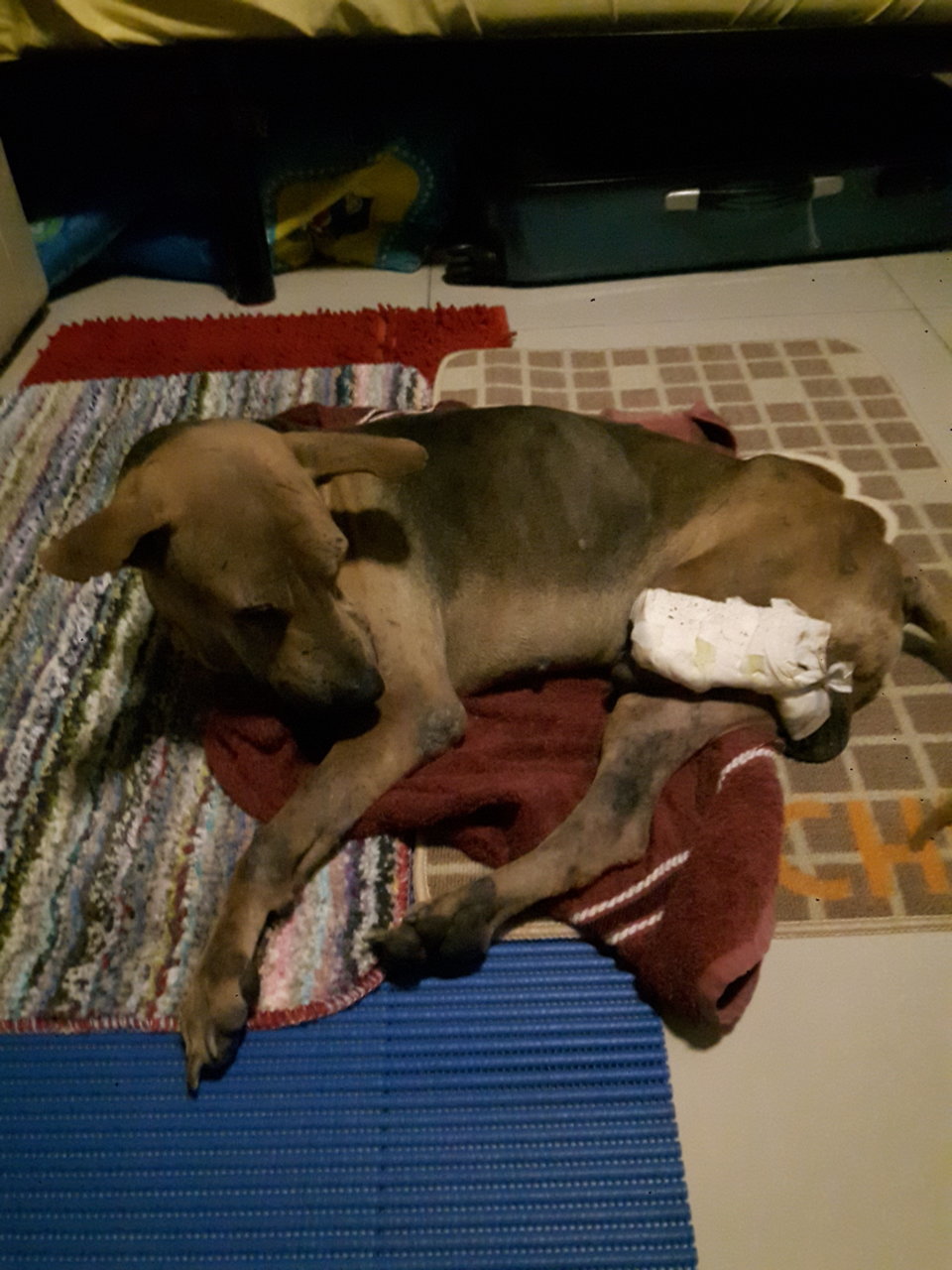 20171130_200752.jpg