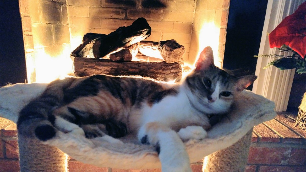 20171202_071506.jpg