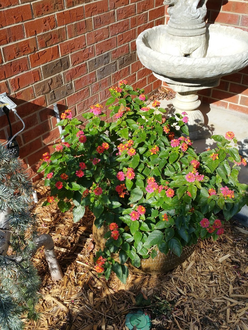20171202_112906.jpg