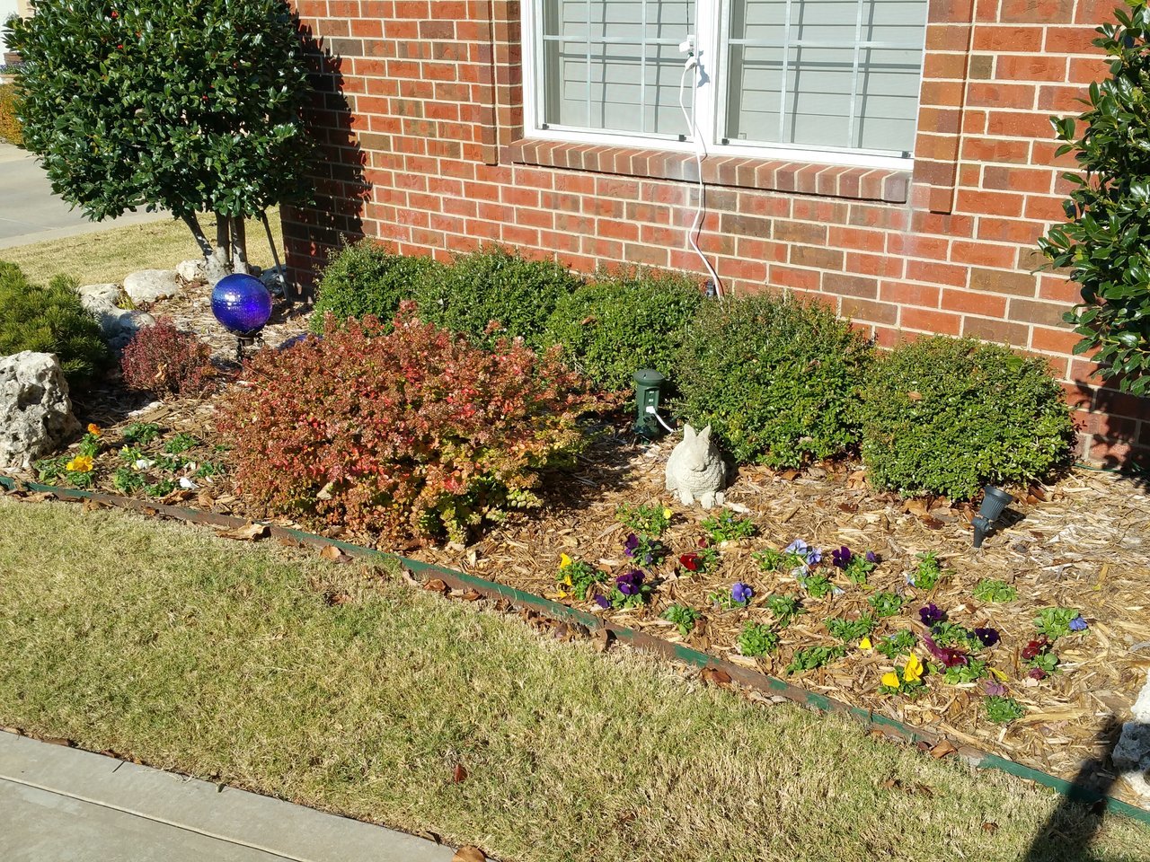 20171202_112926.jpg