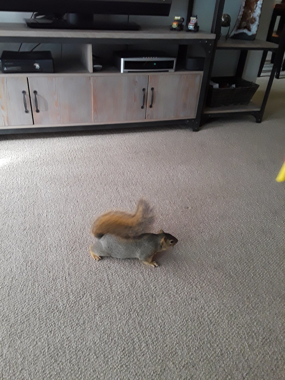 20171203_105034.jpg