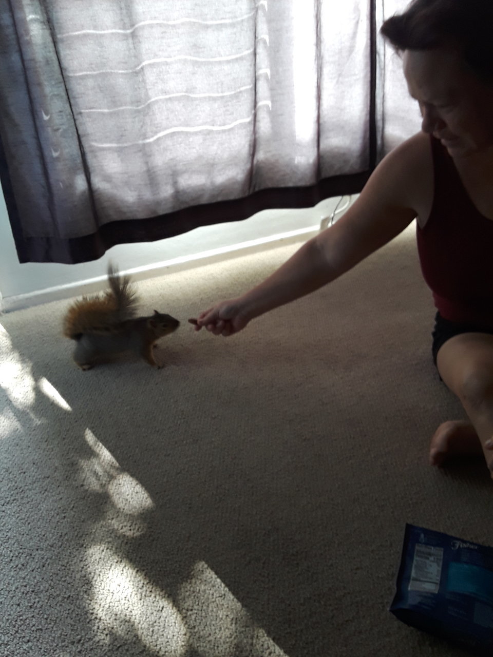 20171203_105244.jpg