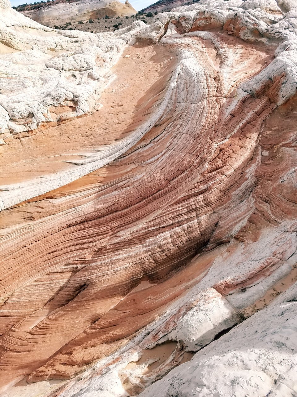 20171203_120724.jpg