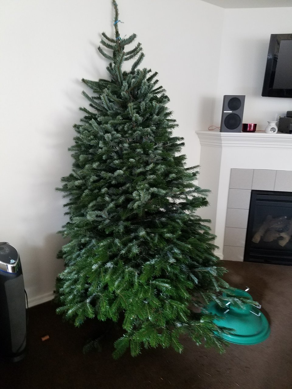 20171203_143909.jpg