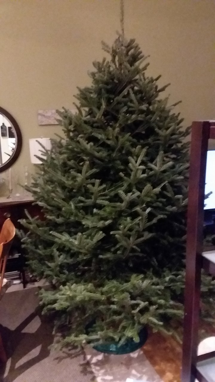 20171203_184723.jpg