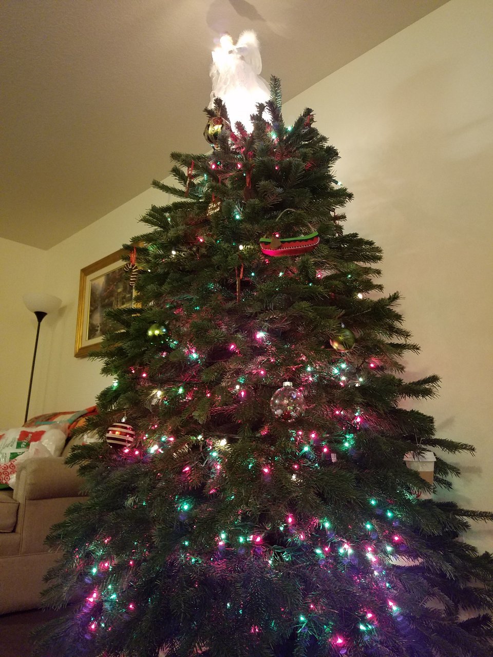 20171203_200525.jpg