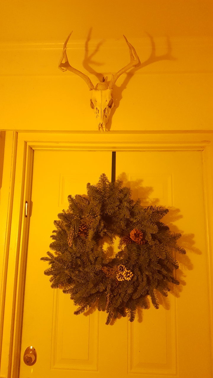 20171205_180930.jpg