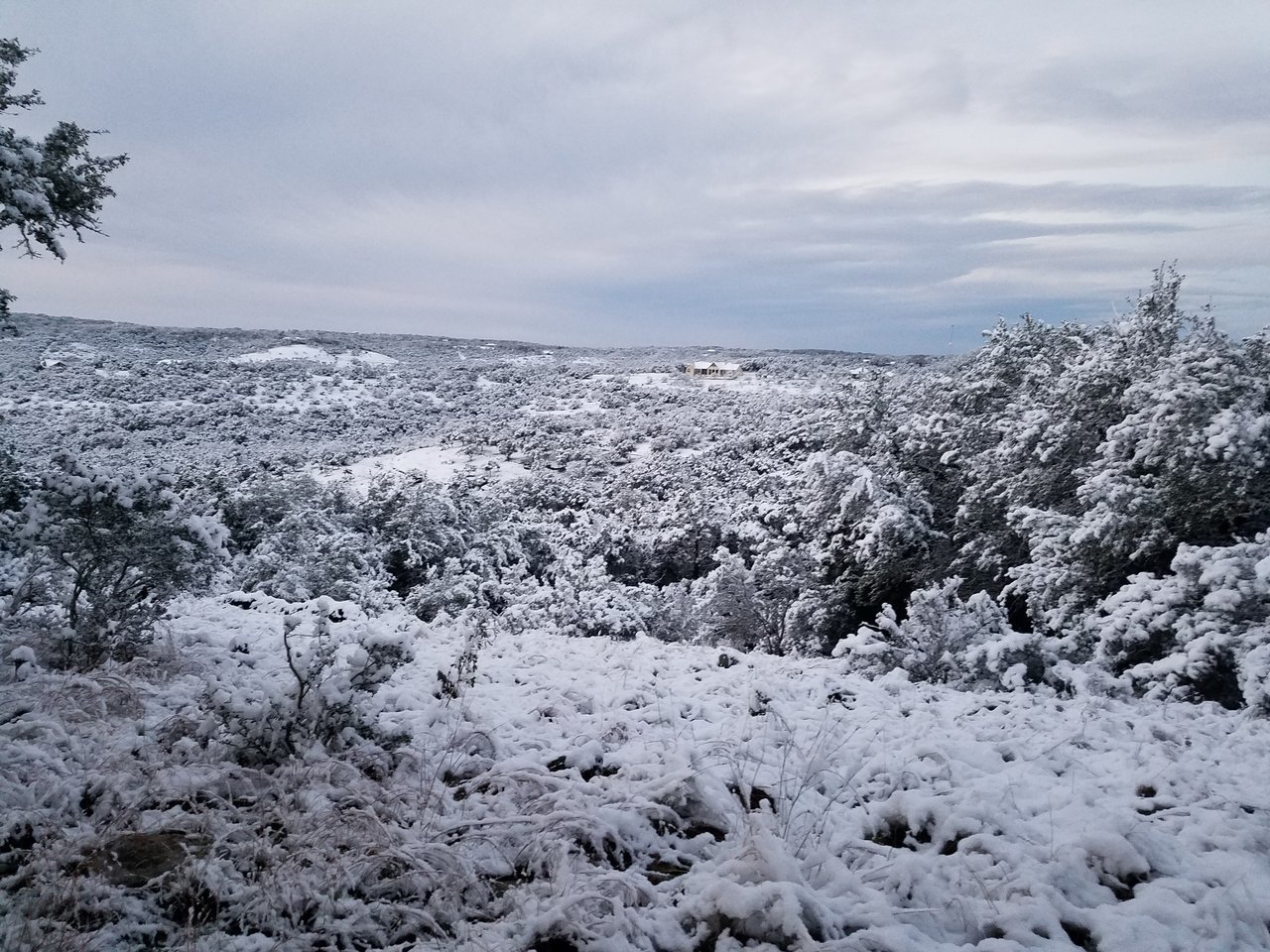 20171208_065938.jpg